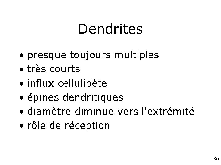 Dendrites • presque toujours multiples • très courts • influx cellulipète • épines dendritiques