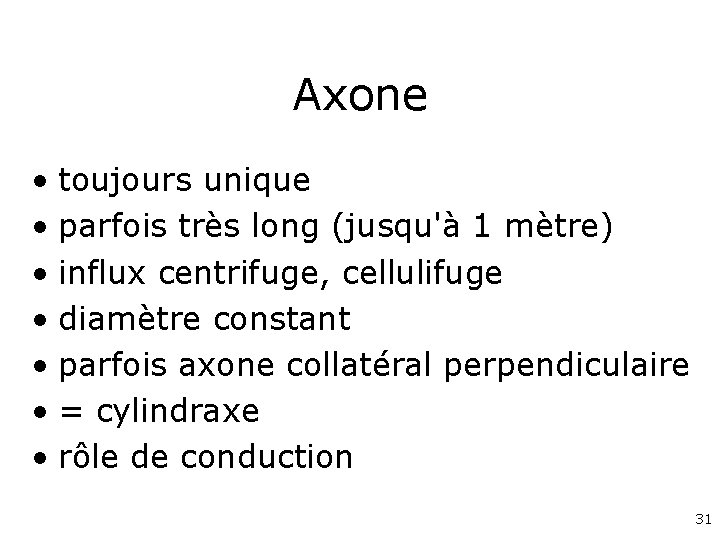 Axone • toujours unique • parfois très long (jusqu'à 1 mètre) • influx centrifuge,