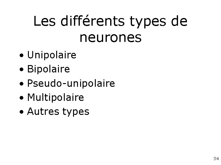 Les différents types de neurones • Unipolaire • Bipolaire • Pseudo-unipolaire • Multipolaire •