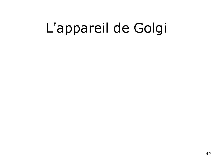 L'appareil de Golgi 42 