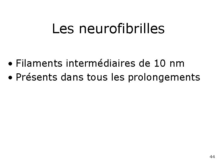 Les neurofibrilles • Filaments intermédiaires de 10 nm • Présents dans tous les prolongements