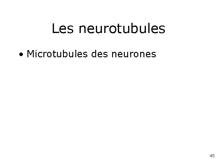Les neurotubules • Microtubules des neurones 45 