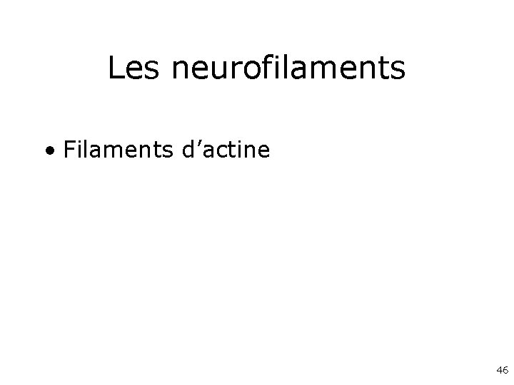 Les neurofilaments • Filaments d’actine 46 