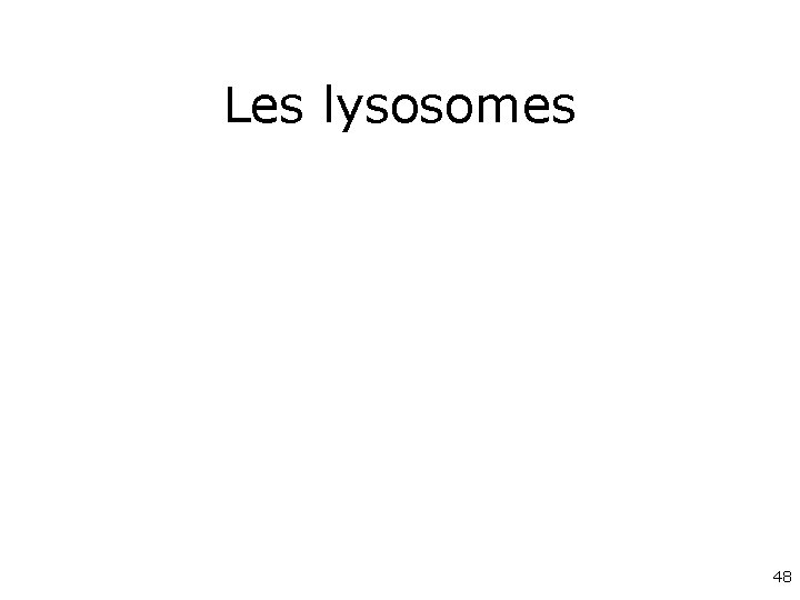 Les lysosomes 48 