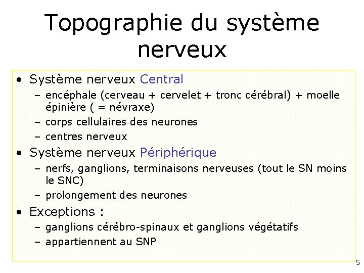 Topographie du système nerveux • Système nerveux Central – encéphale (cerveau + cervelet +