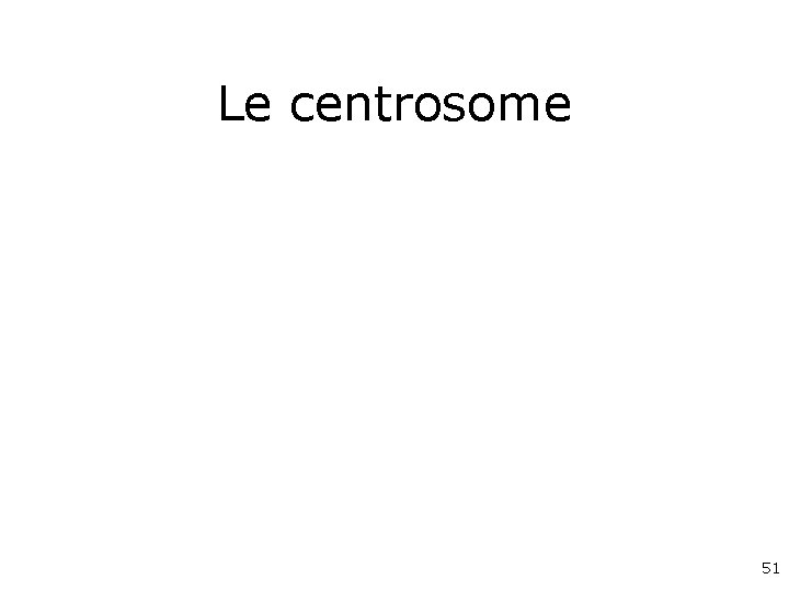 Le centrosome 51 