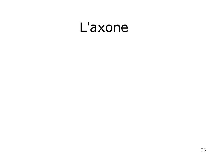 L'axone 56 