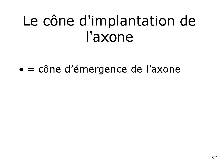 Le cône d'implantation de l'axone • = cône d’émergence de l’axone 57 