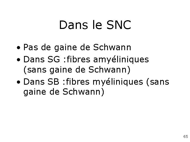 Dans le SNC • Pas de gaine de Schwann • Dans SG : fibres