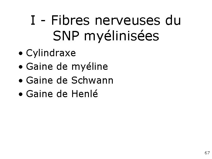I - Fibres nerveuses du SNP myélinisées • Cylindraxe • Gaine de myéline •