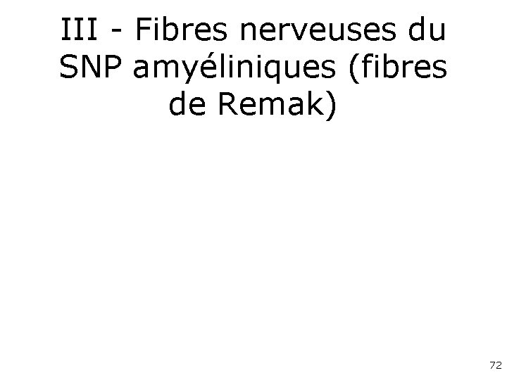 III - Fibres nerveuses du SNP amyéliniques (fibres de Remak) 72 