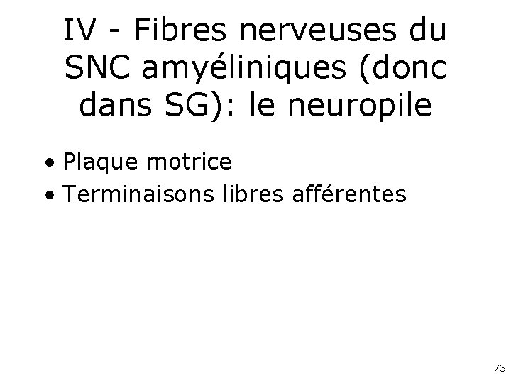 IV - Fibres nerveuses du SNC amyéliniques (donc dans SG): le neuropile • Plaque