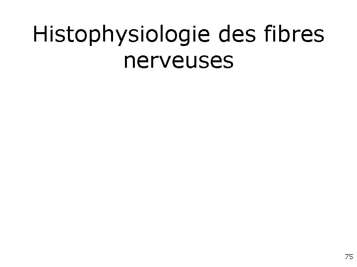 Histophysiologie des fibres nerveuses 75 