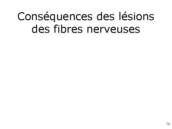 Conséquences des lésions des fibres nerveuses 76 