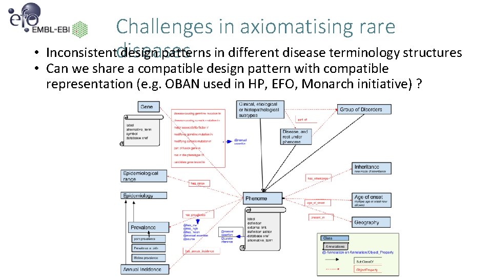 Challenges in axiomatising rare Inconsistent design patterns in different disease terminology structures diseases •