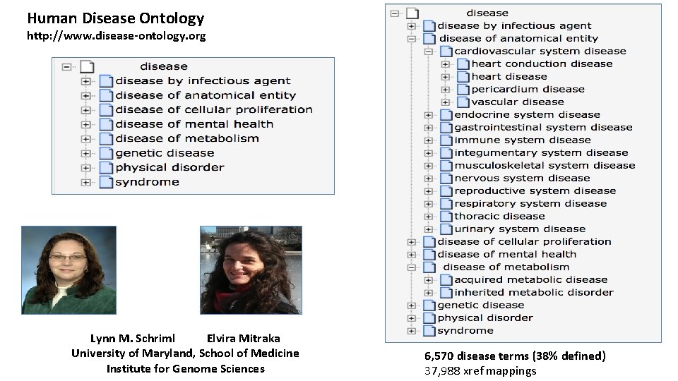 Human Disease Ontology http: //www. disease-ontology. org Lynn M. Schriml Elvira Mitraka University of