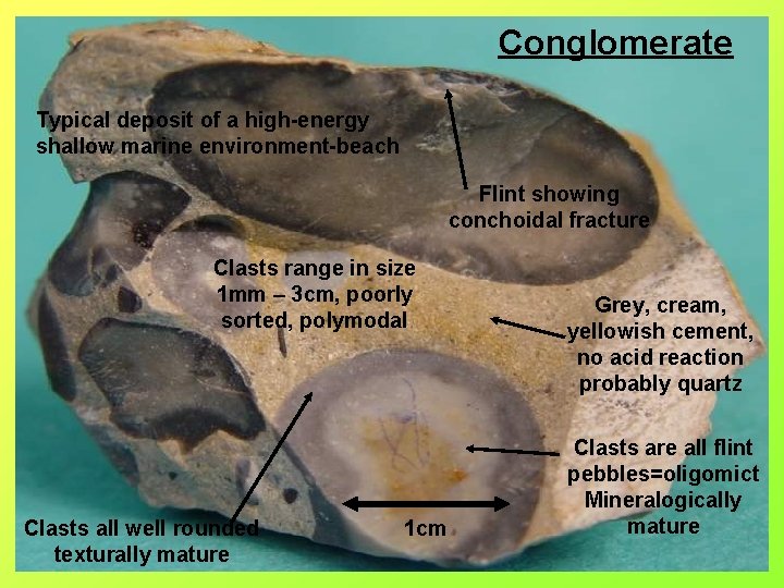 Conglomerate Typical deposit of a high-energy shallow marine environment-beach Flint showing conchoidal fracture Clasts