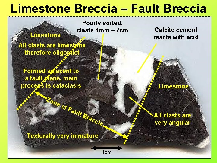 Limestone Breccia – Fault Breccia Poorly sorted, clasts 1 mm – 7 cm Limestone