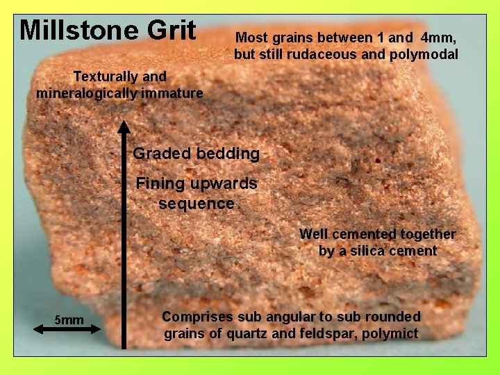 Millstone Grit Most grains between 1 and 4 mm, but still rudaceous and polymodal