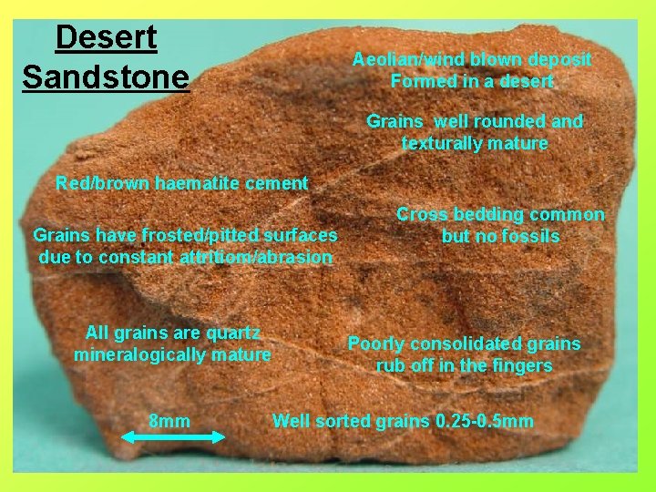 Desert Sandstone Aeolian/wind blown deposit Formed in a desert Grains well rounded and texturally