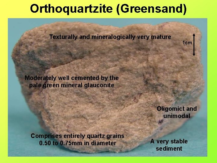 Orthoquartzite (Greensand) Texturally and mineralogically very mature 1 cm Moderately well cemented by the