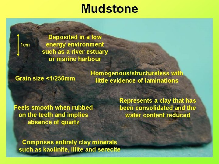 Mudstone 1 cm Deposited in a low energy environment such as a river estuary