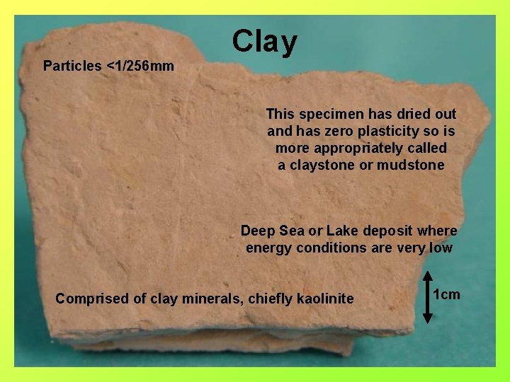 Clay Particles <1/256 mm This specimen has dried out and has zero plasticity so