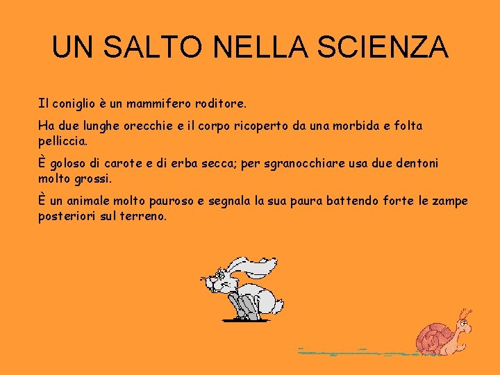 UN SALTO NELLA SCIENZA Il coniglio è un mammifero roditore. Ha due lunghe orecchie