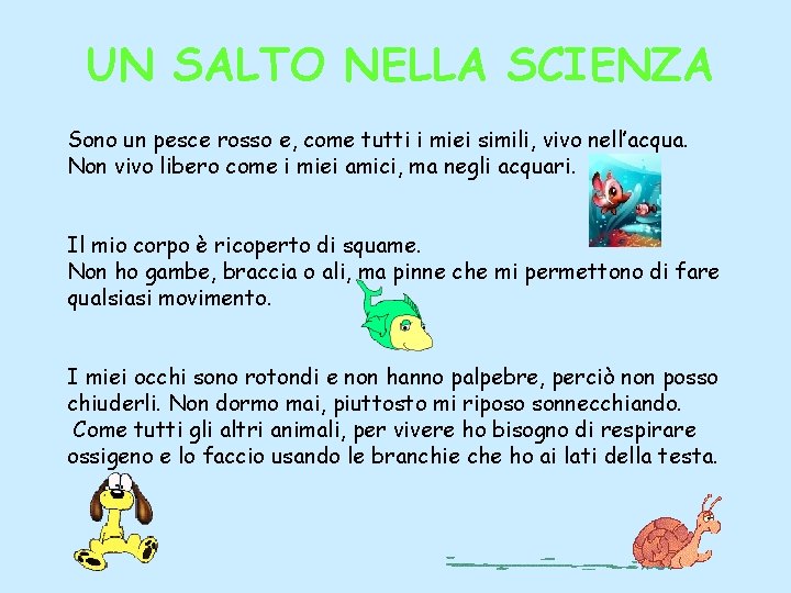 UN SALTO NELLA SCIENZA Sono un pesce rosso e, come tutti i miei simili,