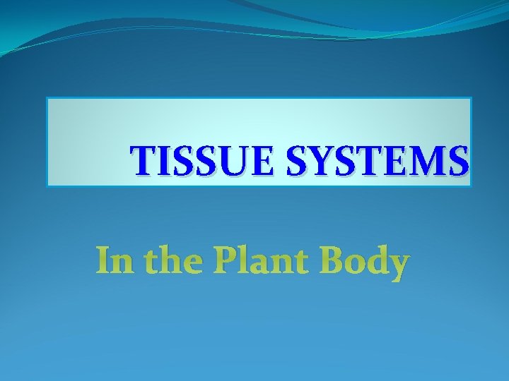 TISSUE SYSTEMS In the Plant Body 