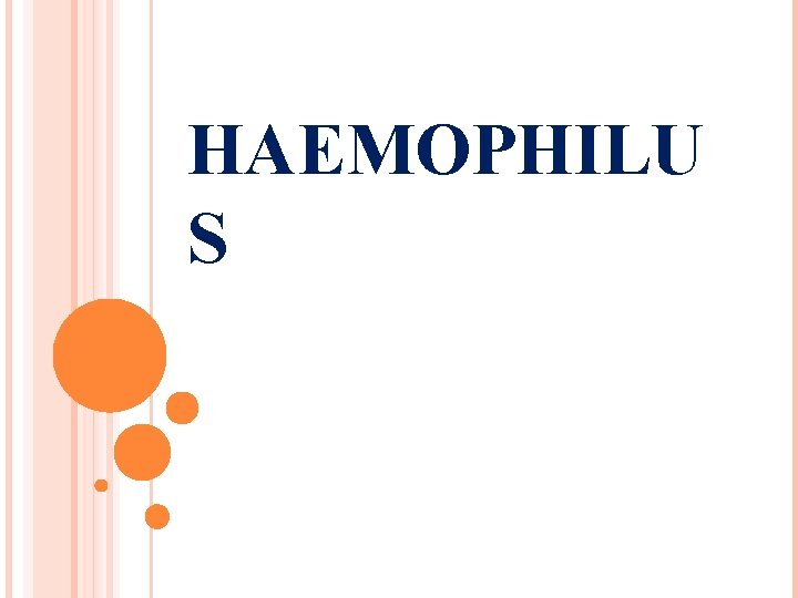 HAEMOPHILU S 