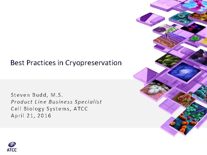 Best Practices in Cryopreservation Steven Budd, M. S. Product Line Business Specialist Cell B