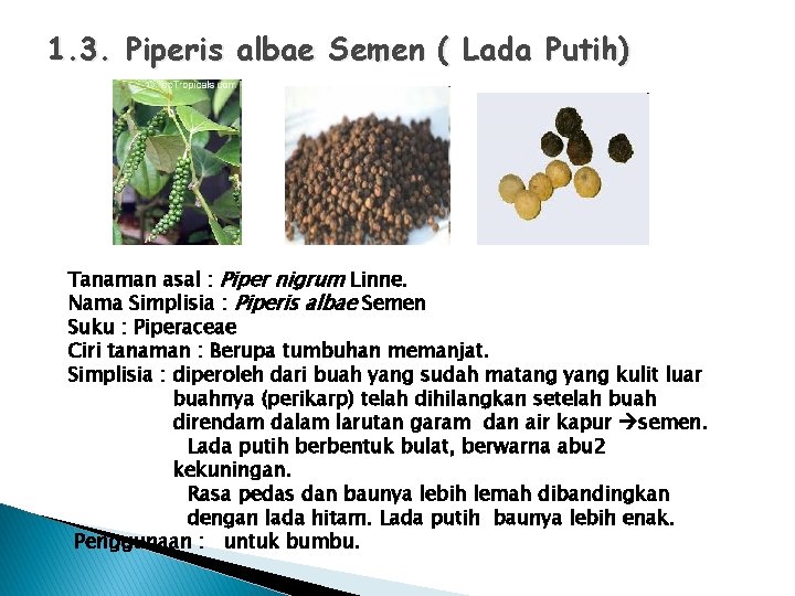 1. 3. Piperis albae Semen ( Lada Putih) Tanaman asal : Piper nigrum Linne.