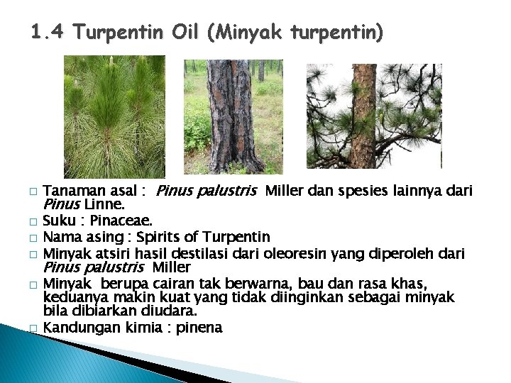 1. 4 Turpentin Oil (Minyak turpentin) � � � Tanaman asal : Pinus palustris