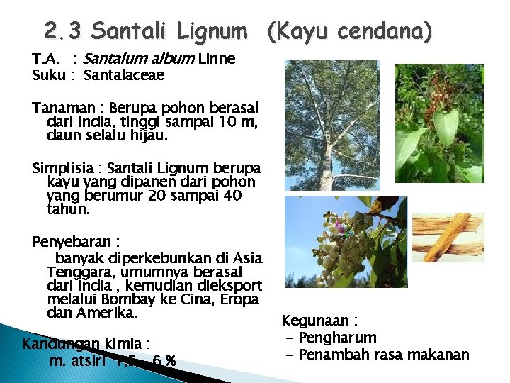 2. 3 Santali Lignum (Kayu cendana) T. A. : Santalum album Linne Suku :