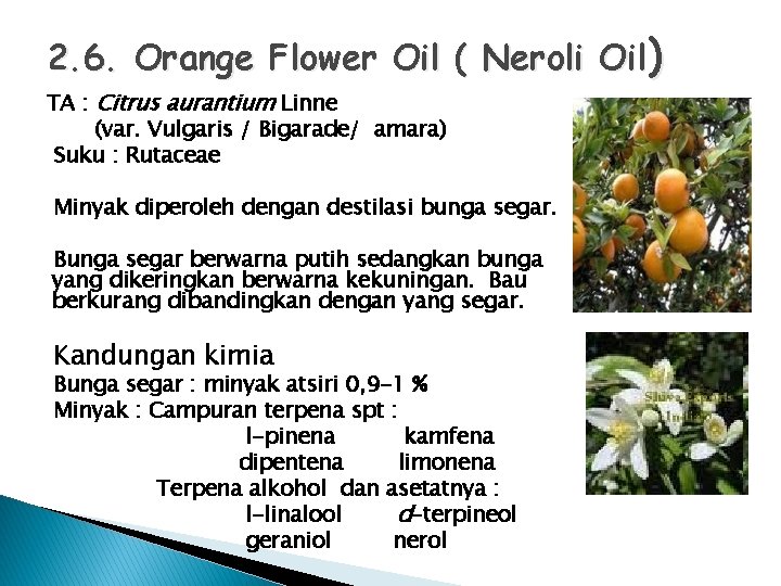 2. 6. Orange Flower Oil ( Neroli Oil) TA : Citrus aurantium Linne (var.