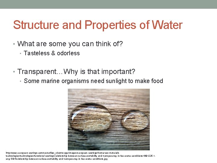 Structure and Properties of Water • What are some you can think of? •