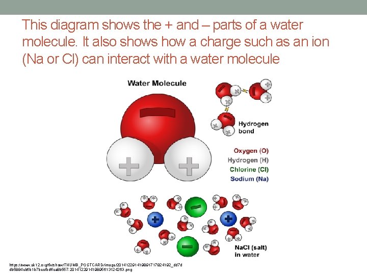 This diagram shows the + and – parts of a water molecule. It also