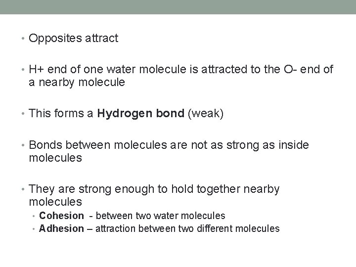  • Opposites attract • H+ end of one water molecule is attracted to