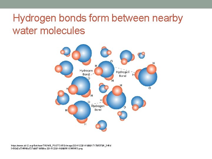 Hydrogen bonds form between nearby water molecules https: //www. ck 12. org/flx/show/THUMB_POSTCARD/image/201412291419891717853796_346 d 3430