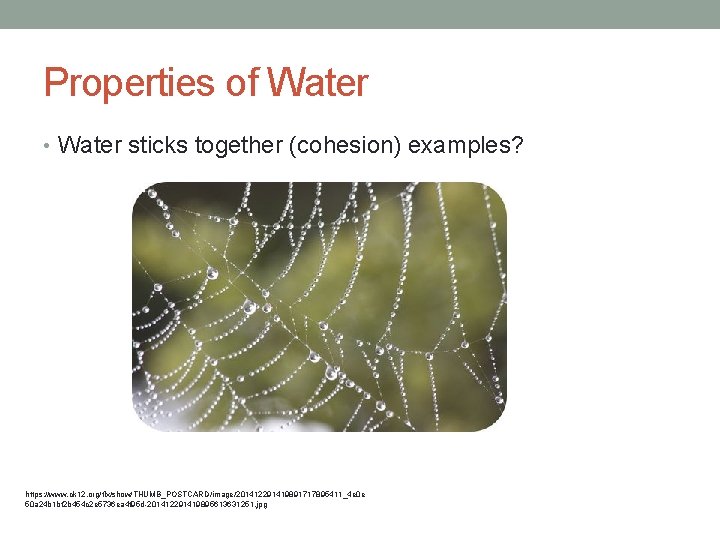 Properties of Water • Water sticks together (cohesion) examples? https: //www. ck 12. org/flx/show/THUMB_POSTCARD/image/201412291419891717895411_4