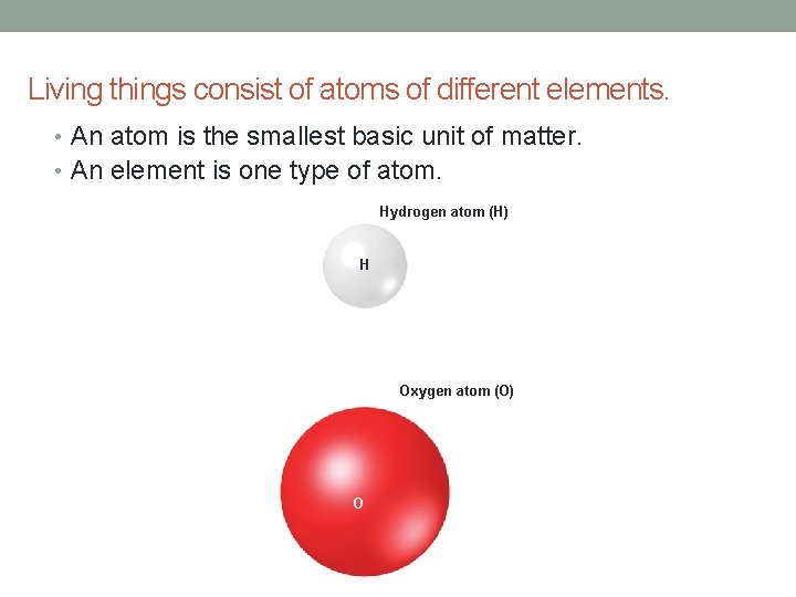 Living things consist of atoms of different elements. • An atom is the smallest