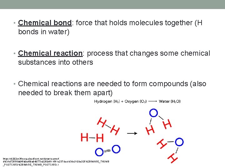  • Chemical bond: force that holds molecules together (H bonds in water) •