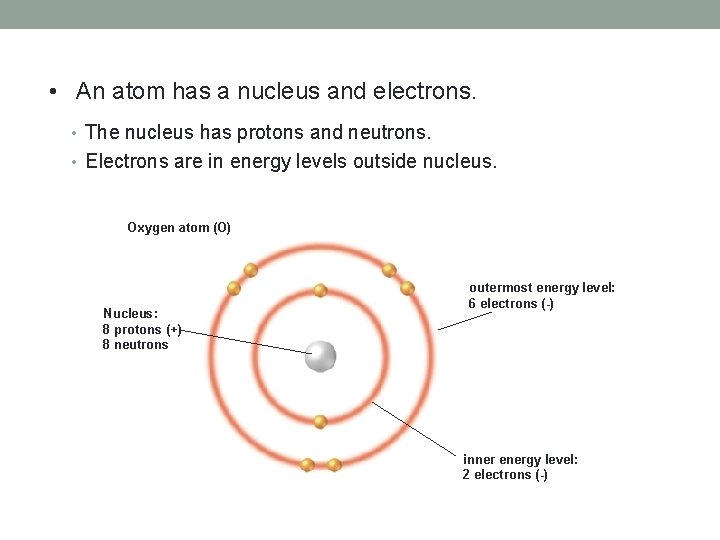  • An atom has a nucleus and electrons. • The nucleus has protons