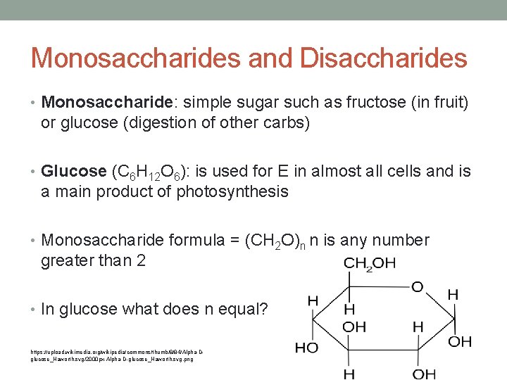 Monosaccharides and Disaccharides • Monosaccharide: simple sugar such as fructose (in fruit) or glucose