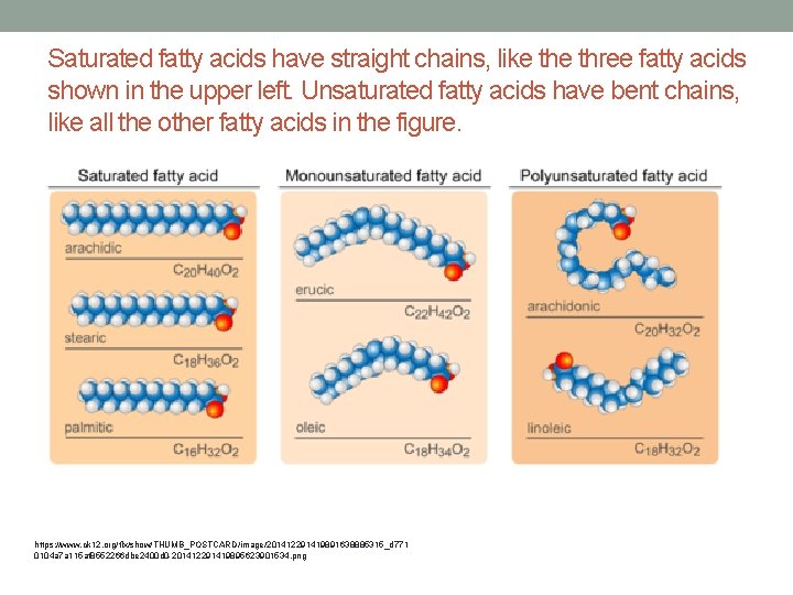 Saturated fatty acids have straight chains, like three fatty acids shown in the upper