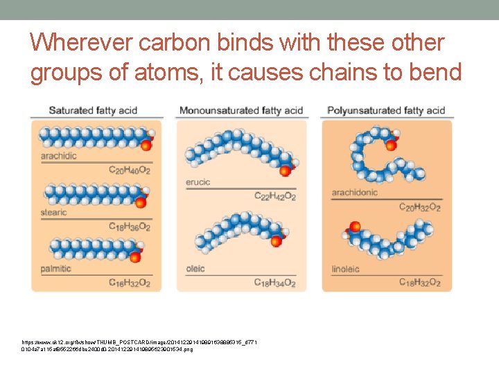 Wherever carbon binds with these other groups of atoms, it causes chains to bend