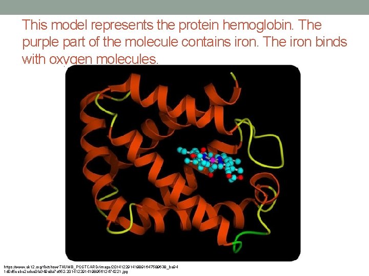 This model represents the protein hemoglobin. The purple part of the molecule contains iron.