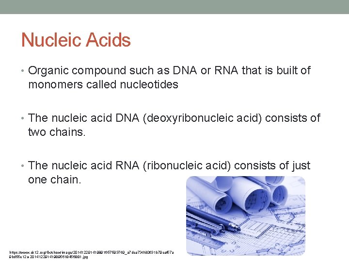 Nucleic Acids • Organic compound such as DNA or RNA that is built of