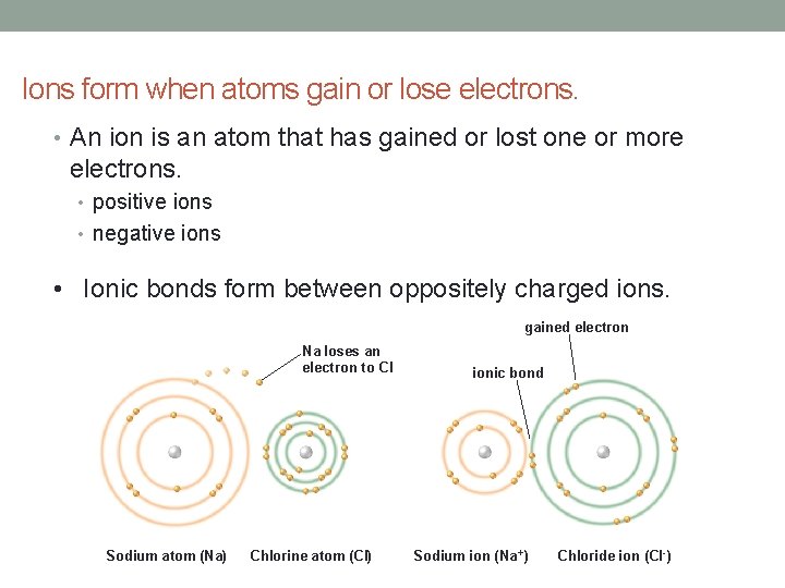 Ions form when atoms gain or lose electrons. • An ion is an atom